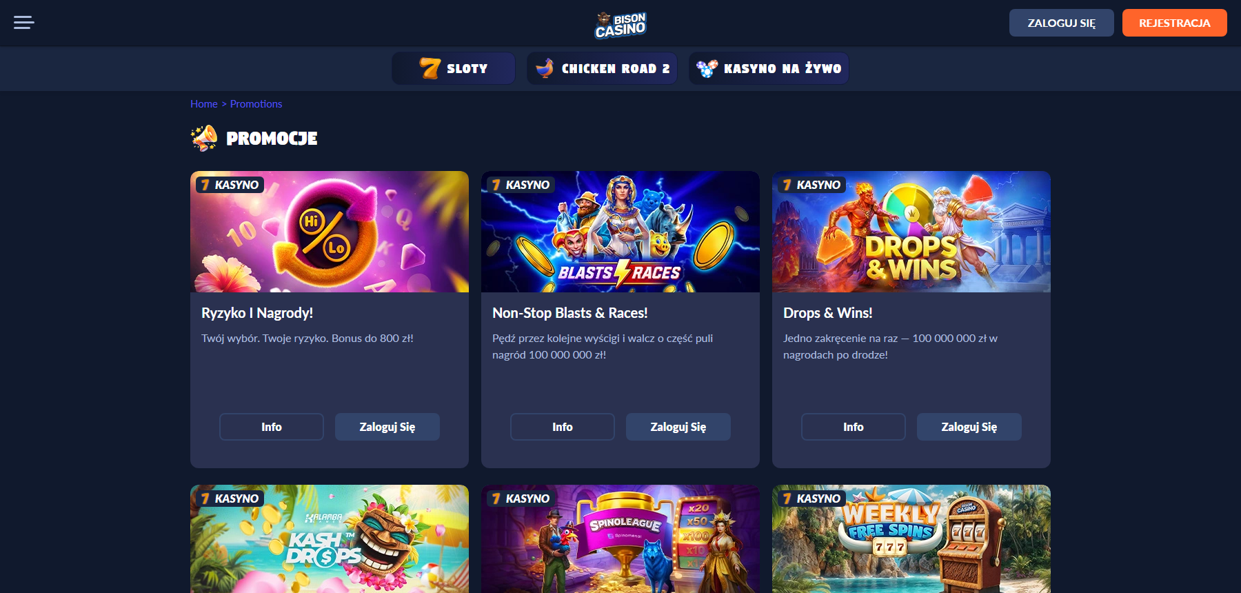 Bison Casino bonusy